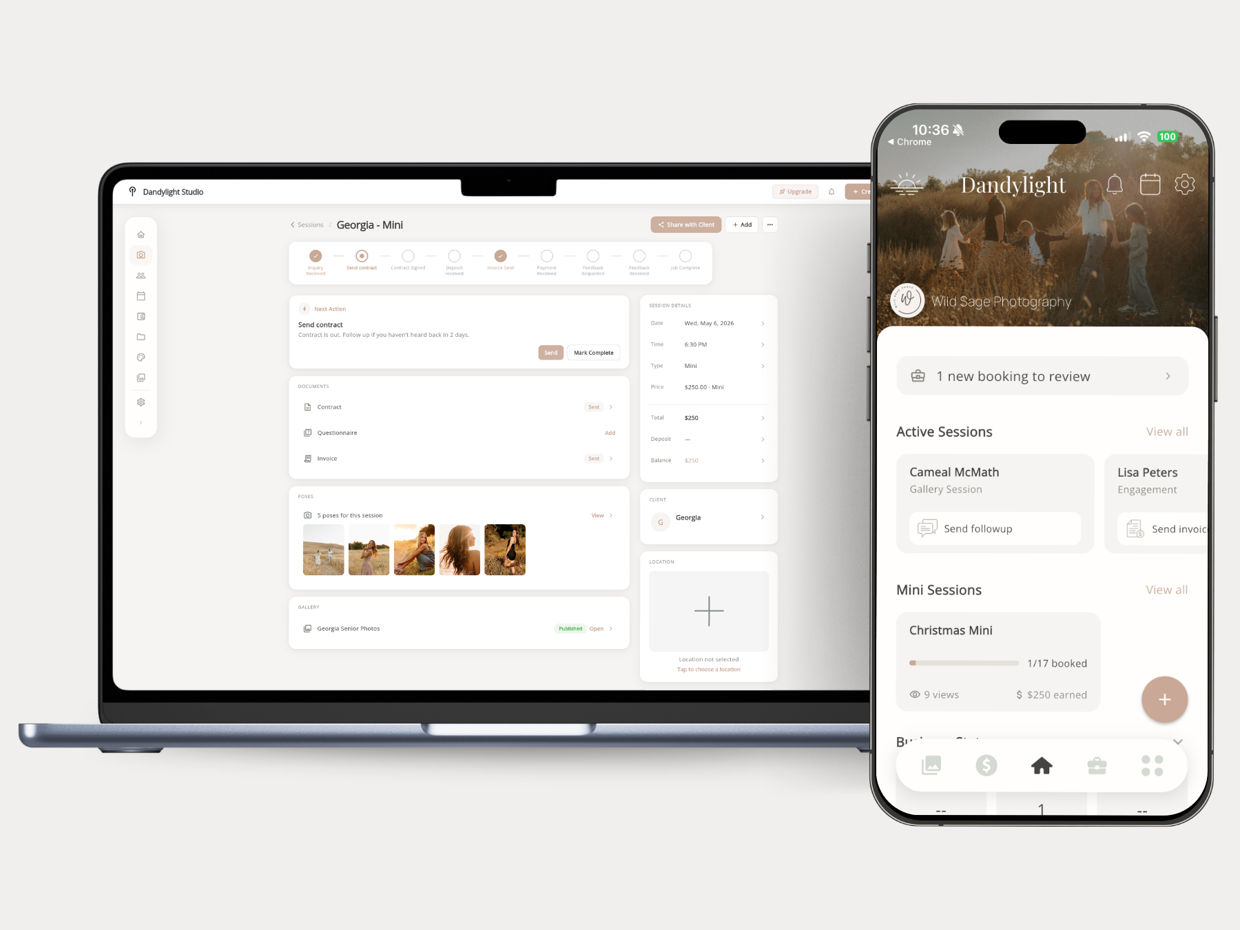 Dandylight income and expense tracking interface